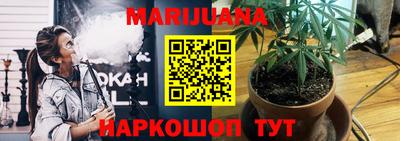 индика Краснознаменск