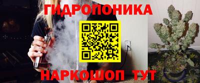 индика Краснознаменск