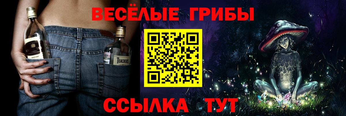 Калининград  Галлюциногенные грибы ЛСД  Вход с VPN 
