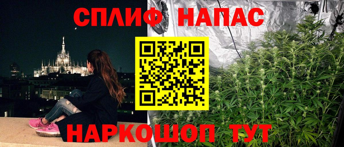 Конопля White Widow Калининград